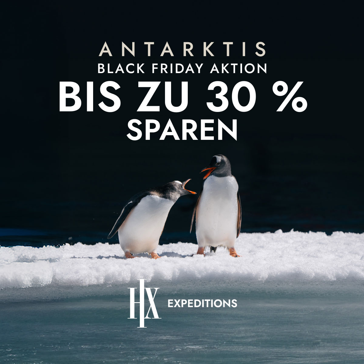 Zwei Pinguine auf Eis, darüber der Text "ANTARKTIS BLACK FRIDAY AKTION BIS ZU 30 % SPAREN".